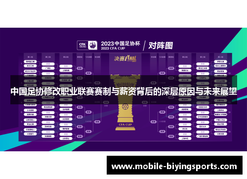中国足协修改职业联赛赛制与薪资背后的深层原因与未来展望