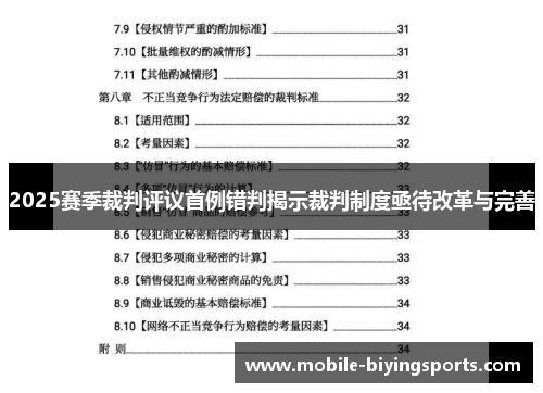 2025赛季裁判评议首例错判揭示裁判制度亟待改革与完善