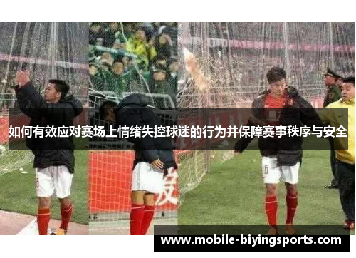 如何有效应对赛场上情绪失控球迷的行为并保障赛事秩序与安全