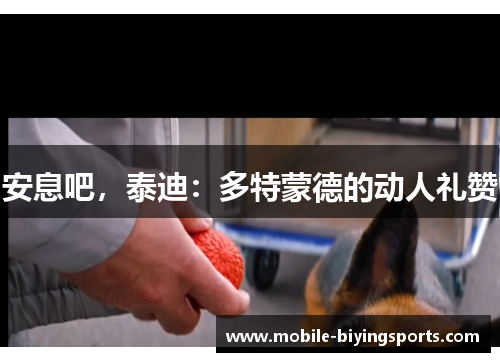 安息吧，泰迪：多特蒙德的动人礼赞