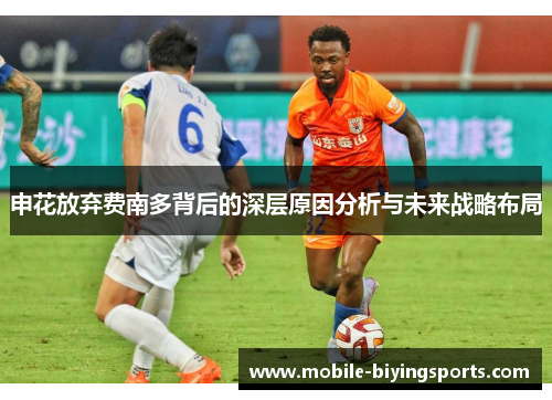 申花放弃费南多背后的深层原因分析与未来战略布局