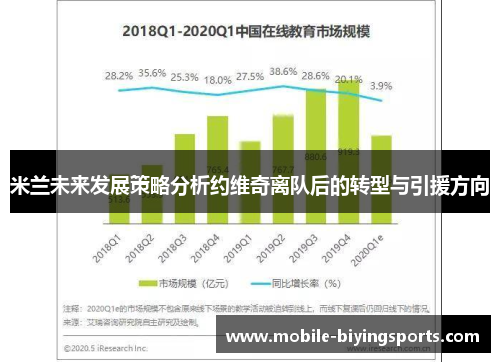 米兰未来发展策略分析约维奇离队后的转型与引援方向