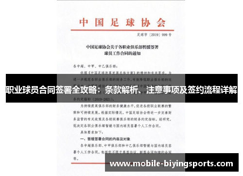 职业球员合同签署全攻略：条款解析、注意事项及签约流程详解