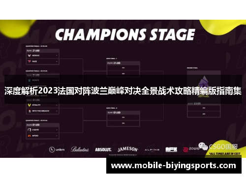 深度解析2023法国对阵波兰巅峰对决全景战术攻略精编版指南集 深度解析2023法国对阵波兰巅峰对决全景战术攻略精编版指南集